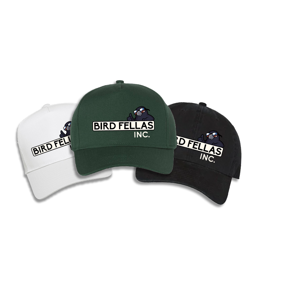 MooreOver | Bird Fellas Incorporated - Hat